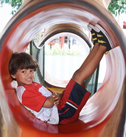 Educação Infantil